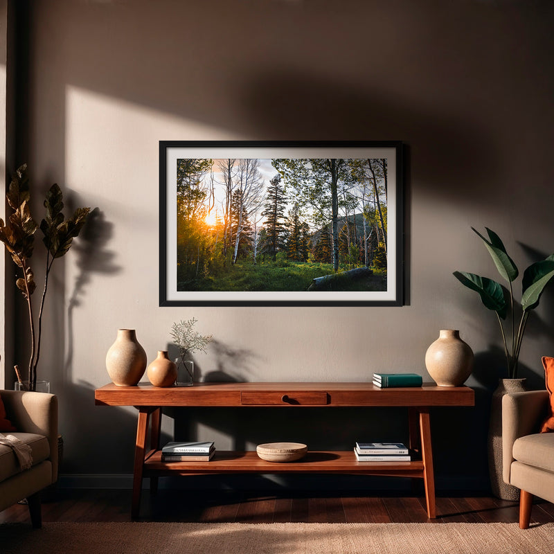 Rays Through the Forest Photography - Sage and Rose Prints