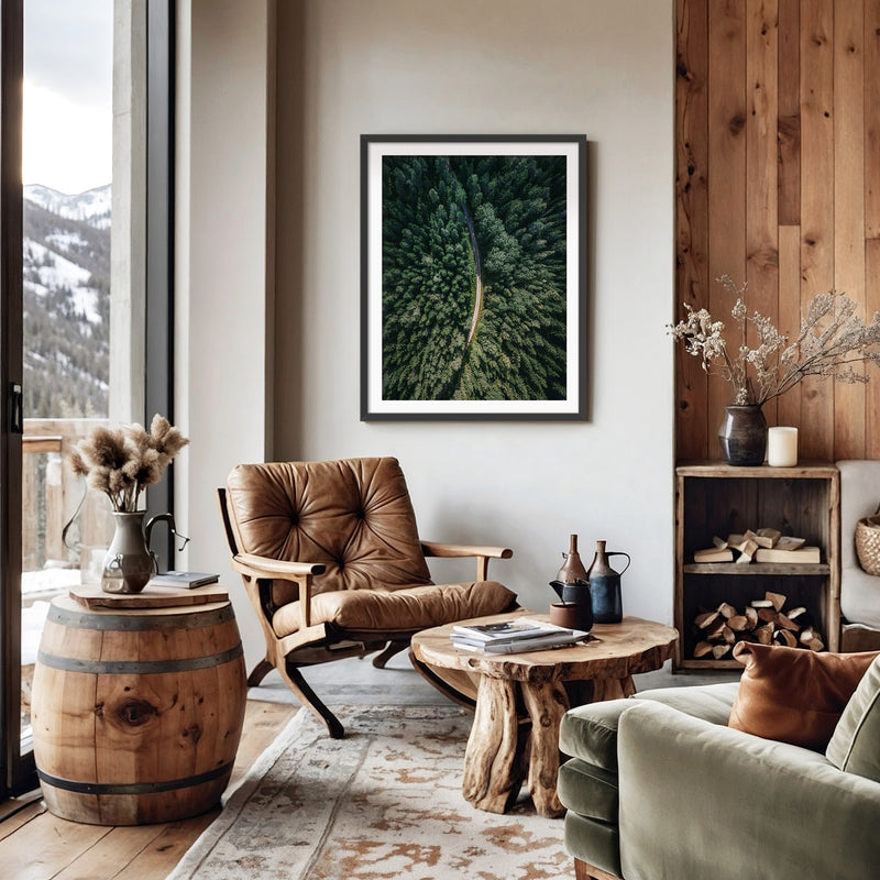 Evergreen Forest Canopy Photograph - Sage and Rose Prints