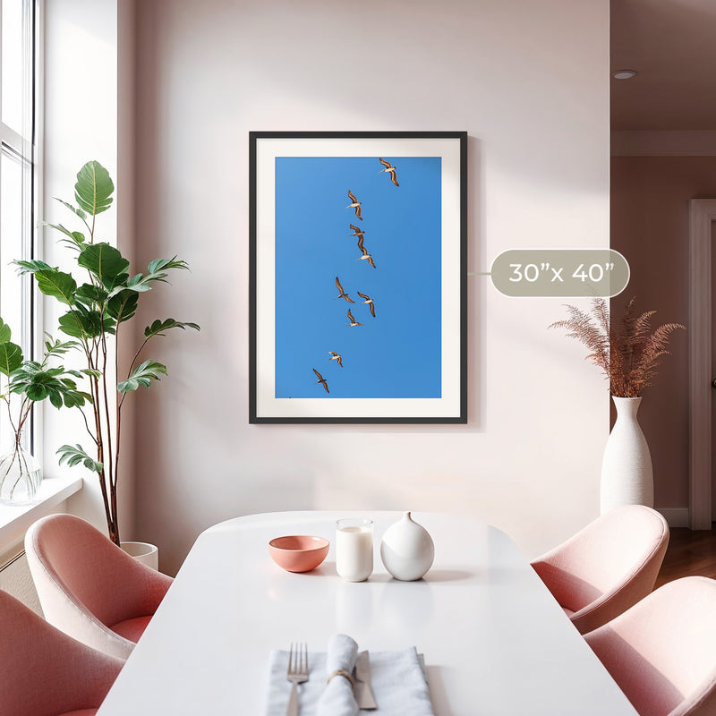 Pelicans Sea Birds Coastal Photography - Sage and Rose Prints