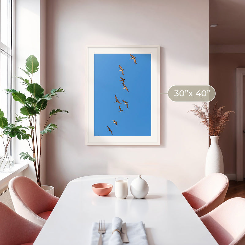 Pelicans Sea Birds Coastal Photography - Sage and Rose Prints