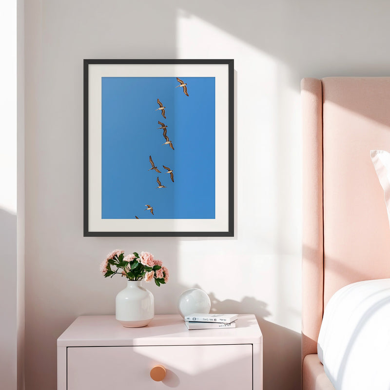 Pelicans Sea Birds Coastal Photography - Sage and Rose Prints