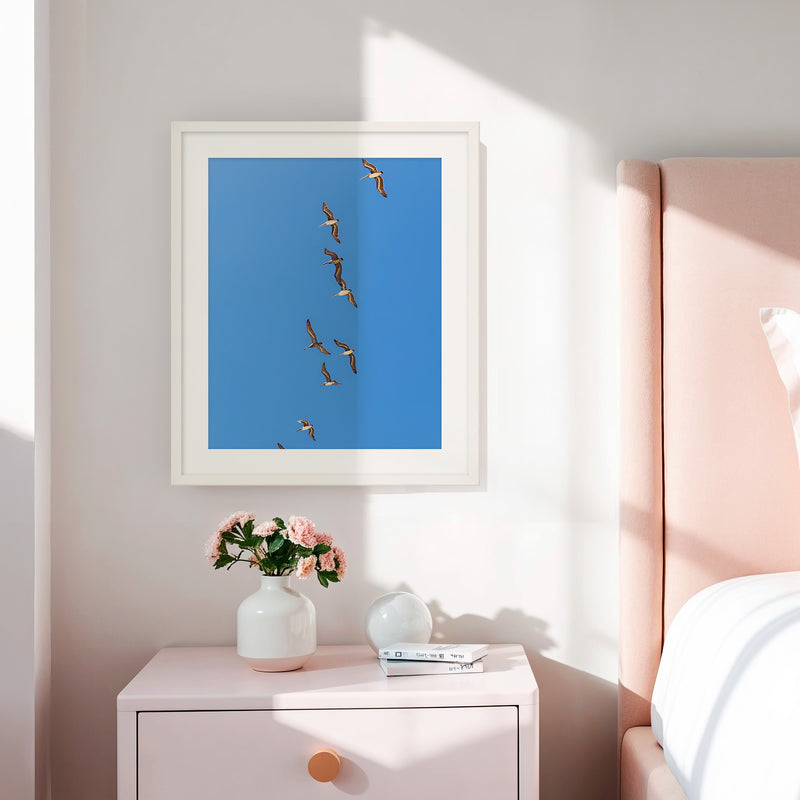 Pelicans Sea Birds Coastal Photography - Sage and Rose Prints
