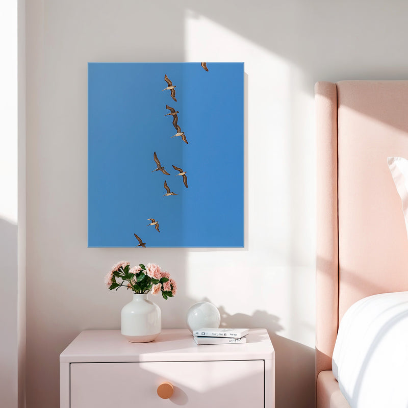 Pelicans Sea Birds Coastal Photography - Sage and Rose Prints