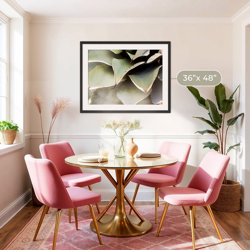 Agave Cactus Geometric Desert Photo Print No1 - Sage and Rose Prints