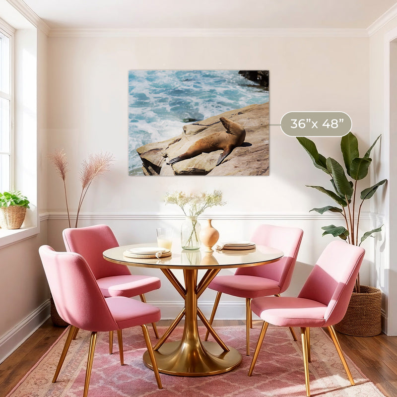 Sea Lion Sunbathing California Photography - Sage and Rose Prints