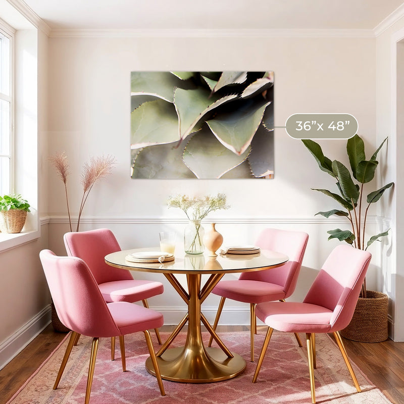 Agave Cactus Geometric Desert Photo Print No1 - Sage and Rose Prints