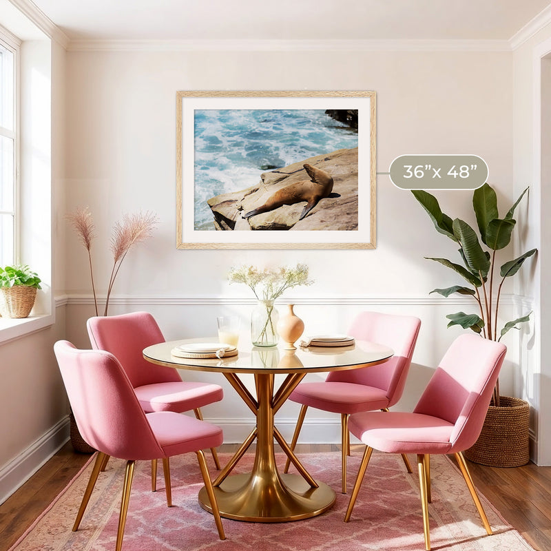 Sea Lion Sunbathing California Photography - Sage and Rose Prints