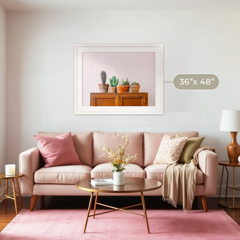 Potted Succulents and Cactus Photo - Sage and Rose Prints