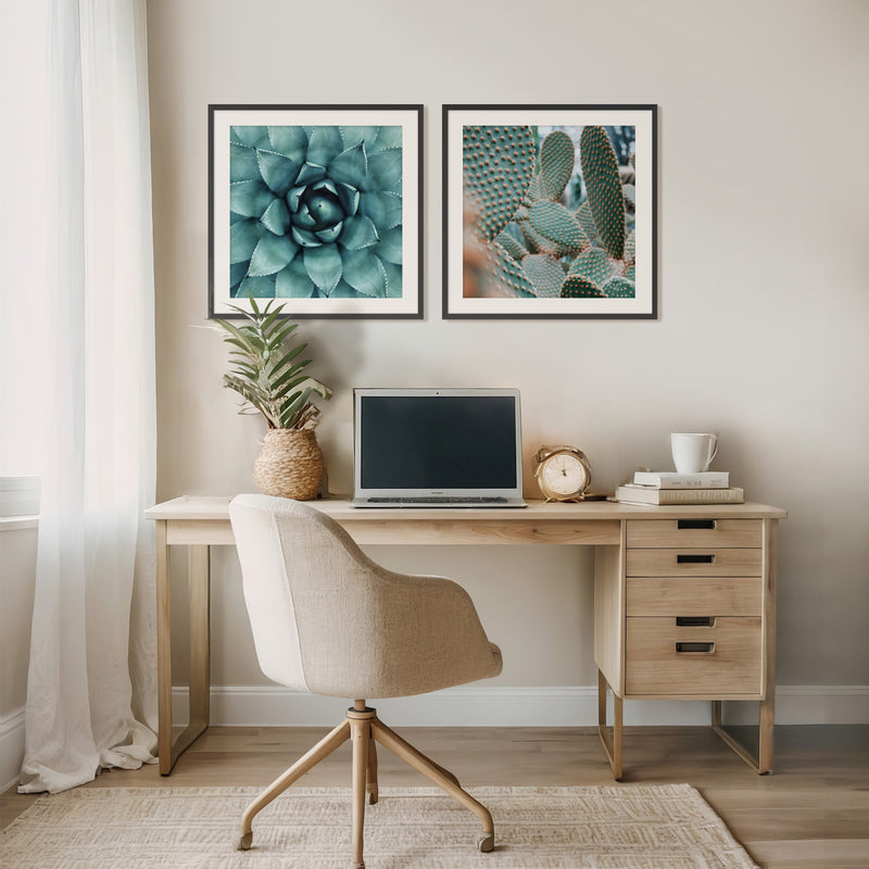 Geometric Cactus Patterns 2 Photo Set - Sage and Rose Prints