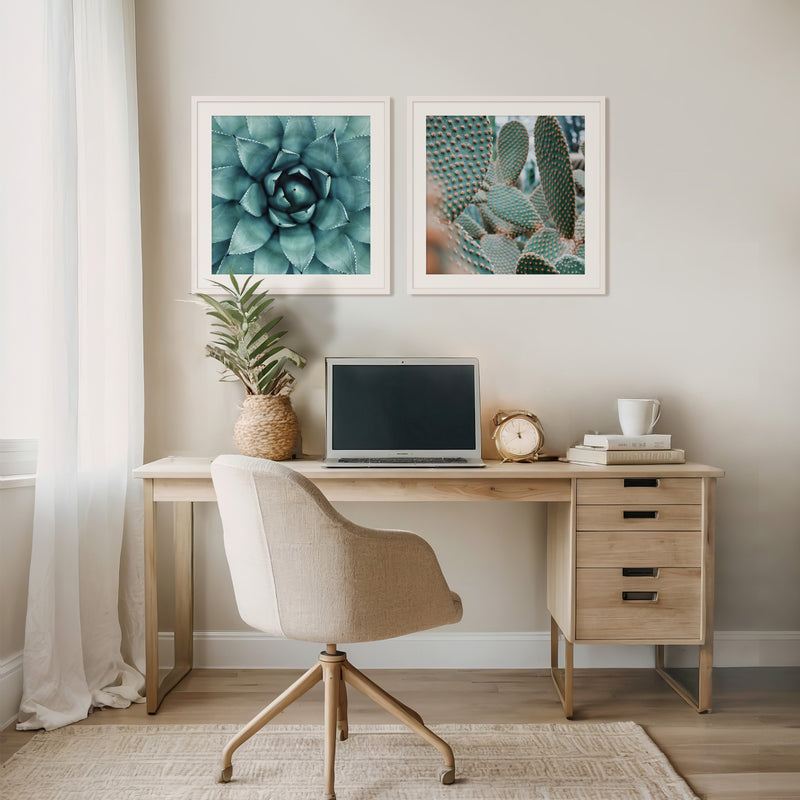 Geometric Cactus Patterns 2 Photo Set - Sage and Rose Prints