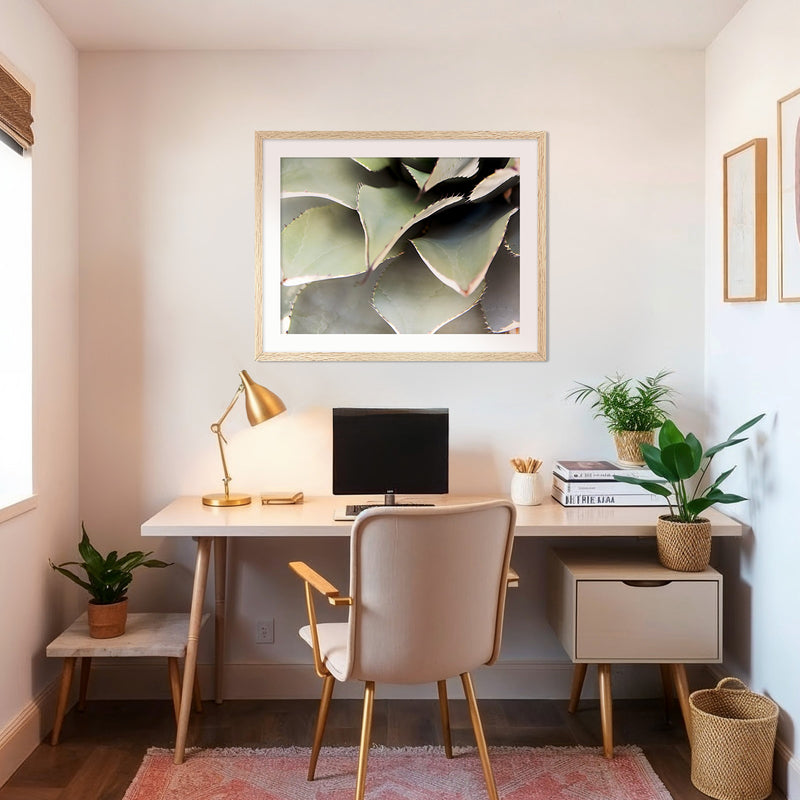 Agave Cactus Geometric Desert Photo Print No1 - Sage and Rose Prints