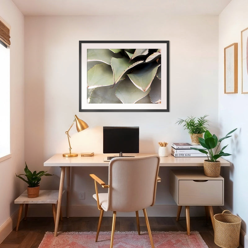 Agave Cactus Geometric Desert Photo Print No1 - Sage and Rose Prints