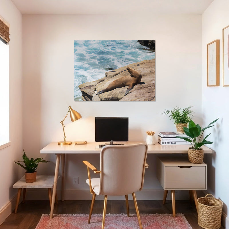 Sea Lion Sunbathing California Photography - Sage and Rose Prints