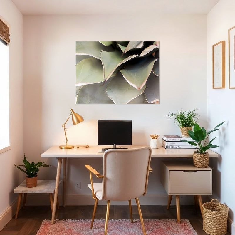 Agave Cactus Geometric Desert Photo Print No1 - Sage and Rose Prints