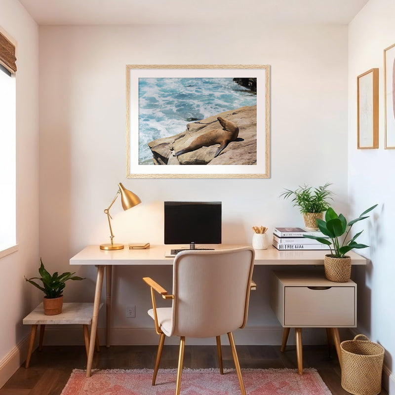 Sea Lion Sunbathing California Photography - Sage and Rose Prints