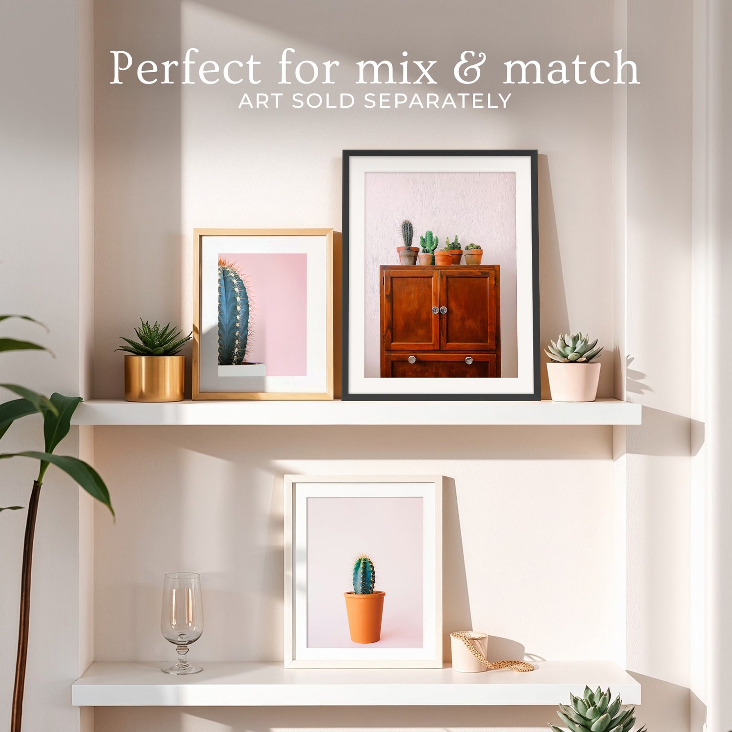 Potted Succulents and Cactus Photo No1 - Sage and Rose Prints