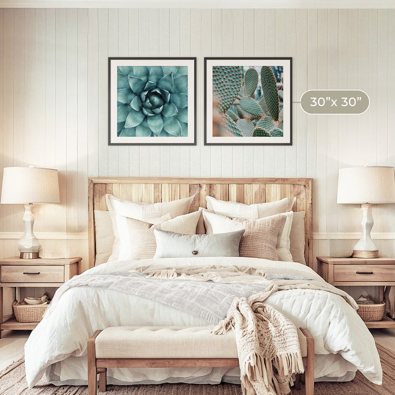 Geometric Cactus Patterns 2 Photo Set - Sage and Rose Prints