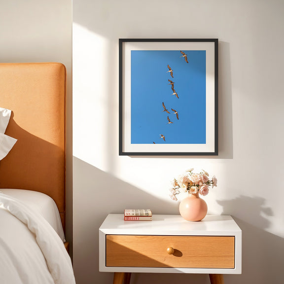 Pelicans Sea Birds Coastal Photography - Sage and Rose Prints