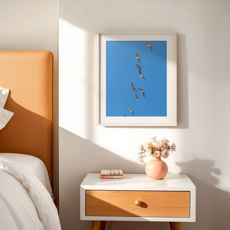 Pelicans Sea Birds Coastal Photography - Sage and Rose Prints